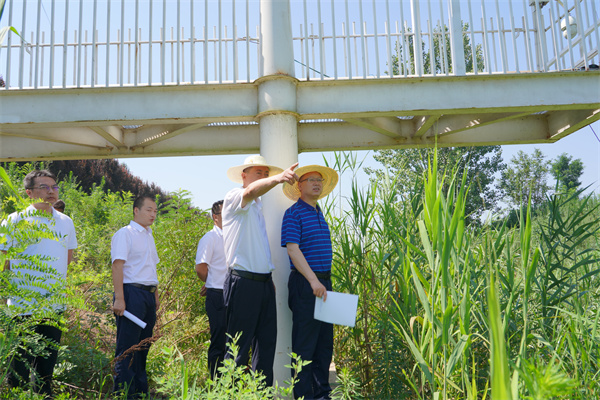 1688955407699845plY6.jpg IMG_3950.jpg