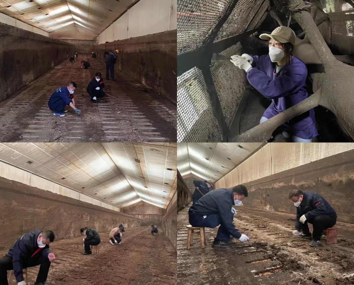 1700013148917077JZ7Z.jpg 2 (1).jpg