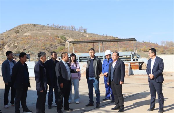 黨委書記、董事長劉衛(wèi)東前往大興場站進行項目調(diào)研.jpg